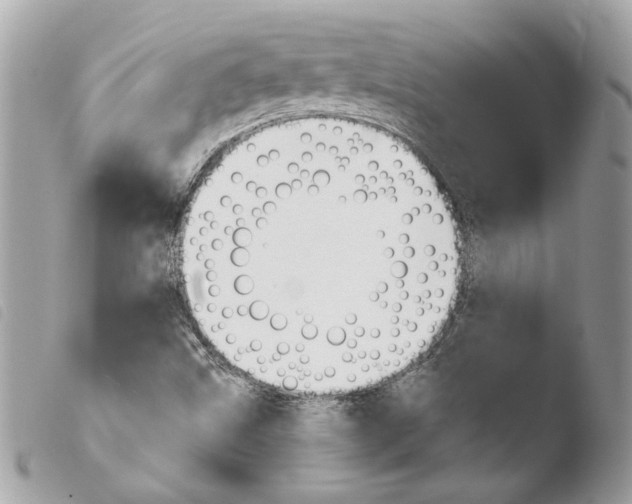 X0000103931499200810171739