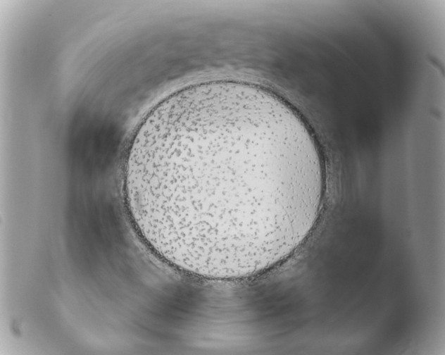 X0000103931500200810171739