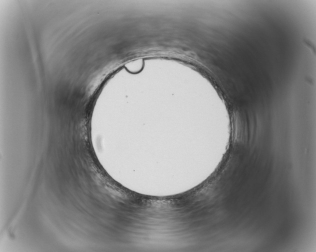 X0000103931501200810171739