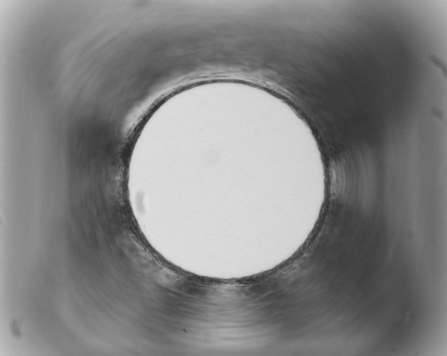 X0000103931502200810171739