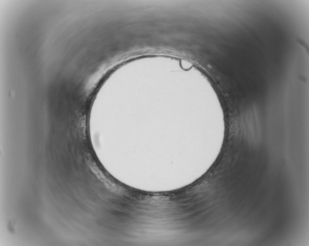 X0000103931503200810171739