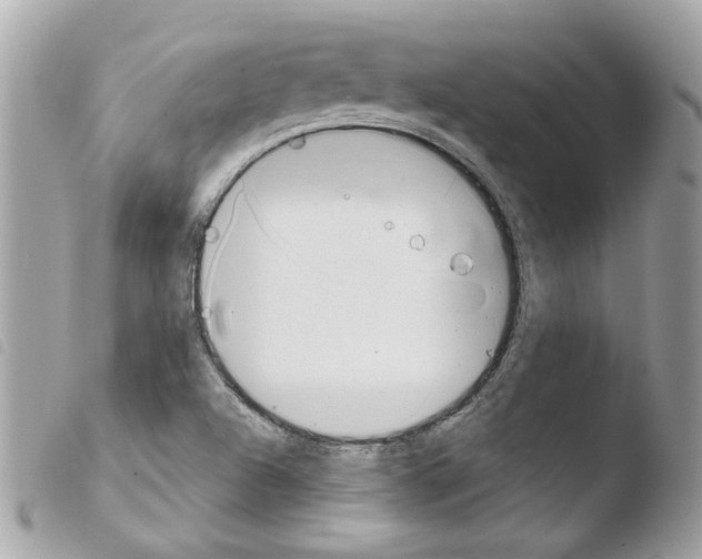 X0000103931504200810171739