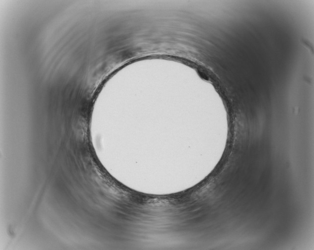 X0000103931505200810171739