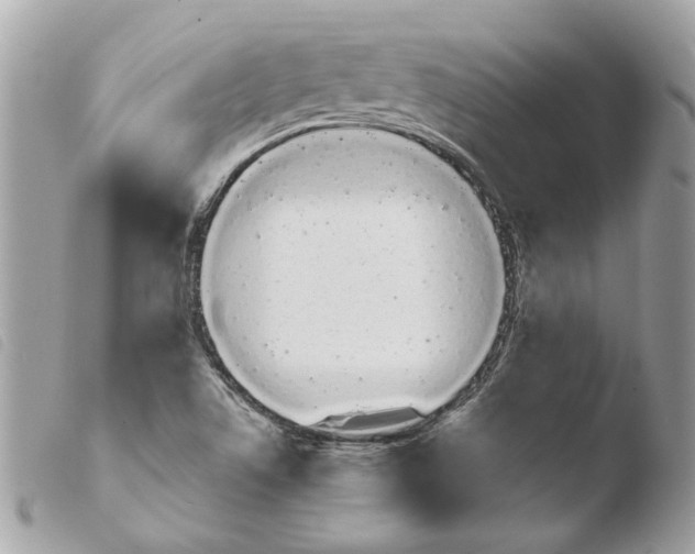 X0000103931506200810171739