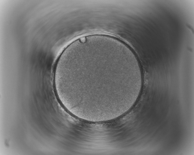 X0000103931508200810171739