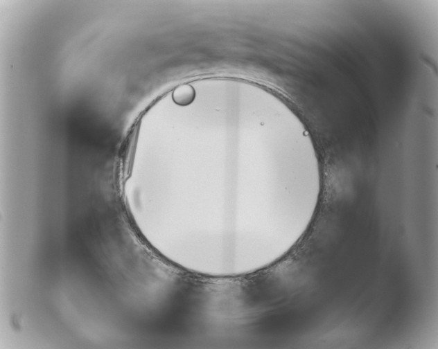 X0000103931510200810171739