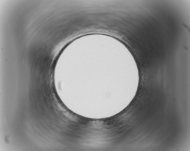 X0000103931511200810171739