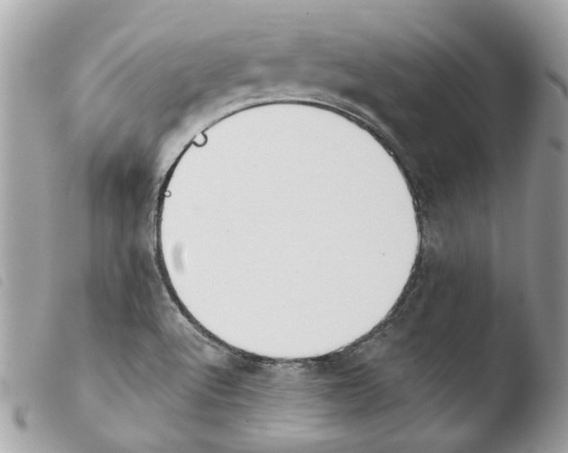 X0000103931512200810171739