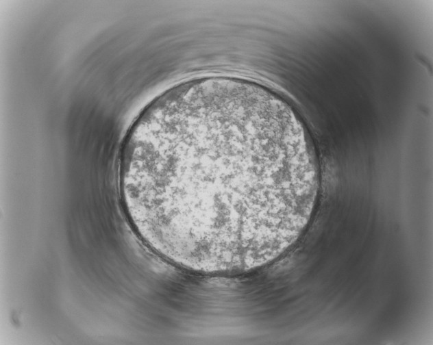 X0000103931514200810171739