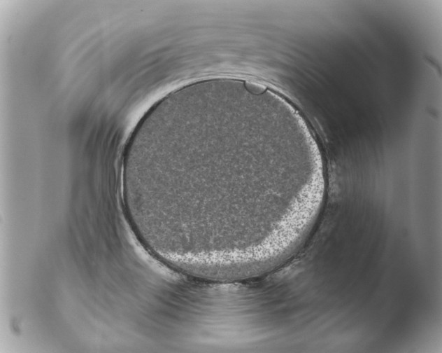 X0000103931515200810171739