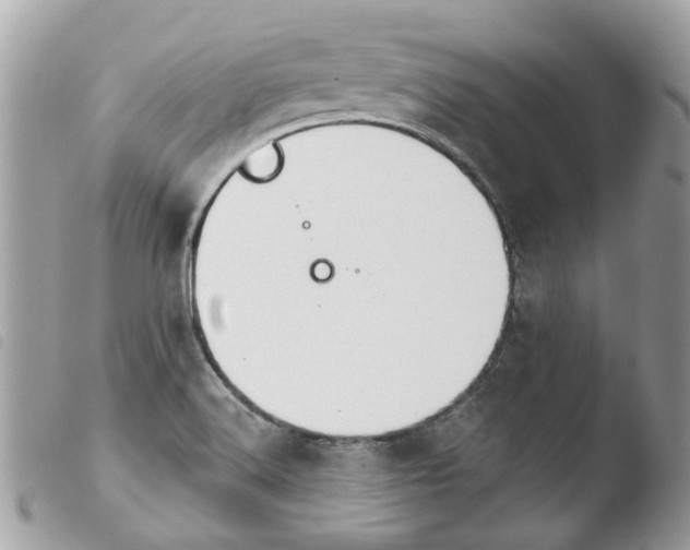 X0000103931516200810171739