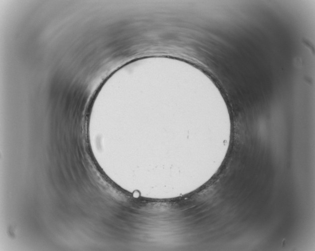 X0000103931517200810171739