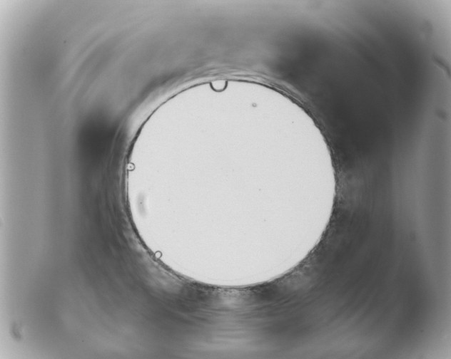 X0000103931520200810171739