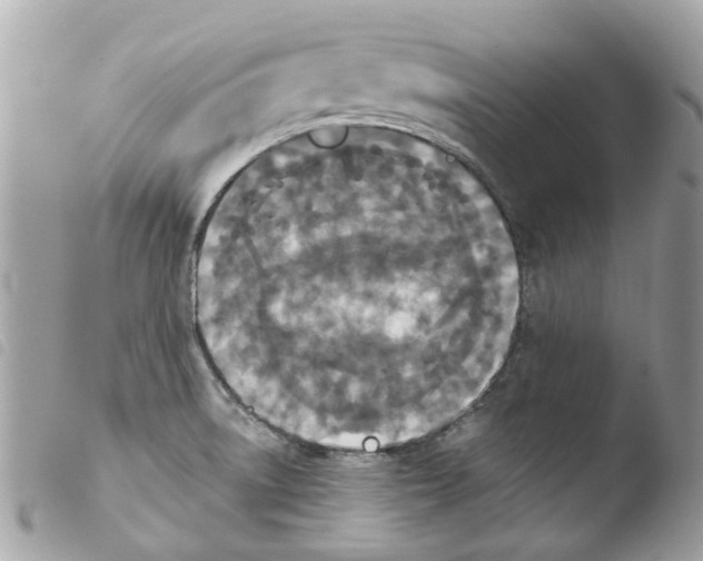 X0000103931522200810171739