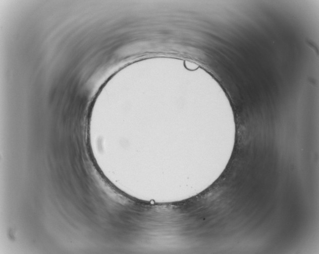 X0000103931523200810171739