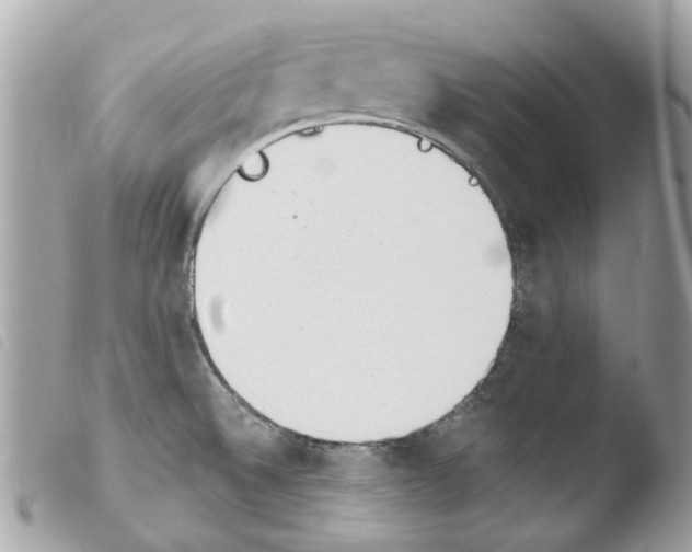 X0000103931524200810171739