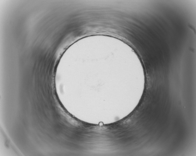 X0000103931525200810171739