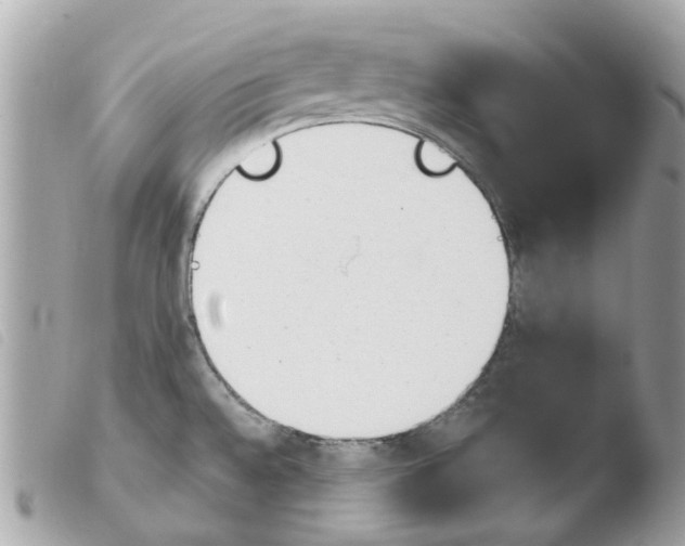 X0000103931528200810171739