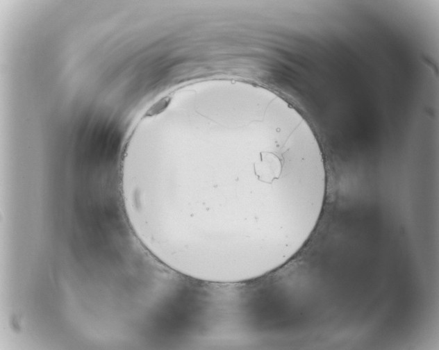 X0000103931532200810171740