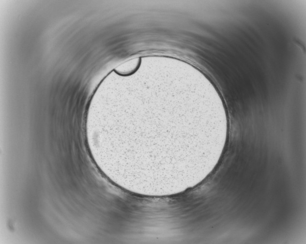 X0000103931533200810171740