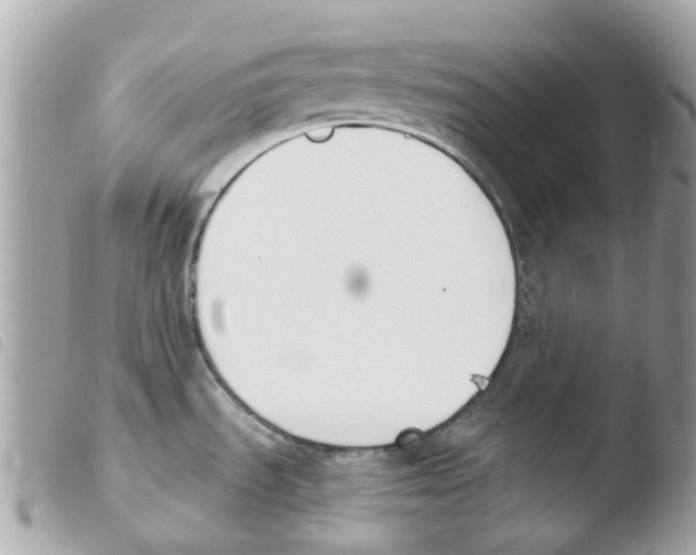 X0000103931535200810171740