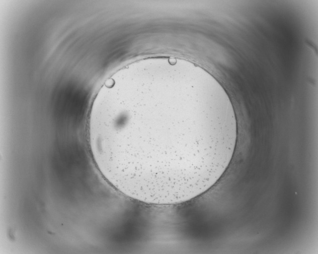 X0000103931536200810171740