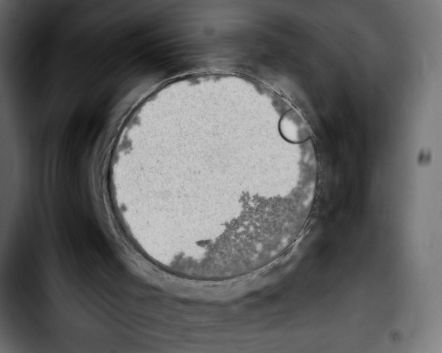 X0000103930001200810311528