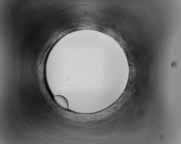 X0000103930002200810311528