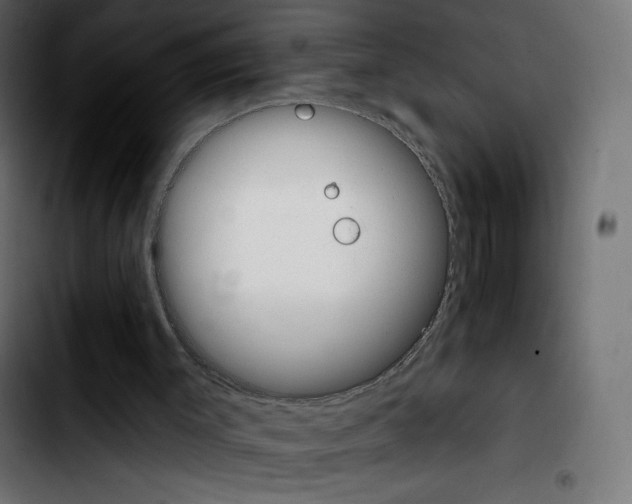 X0000103930003200810311528