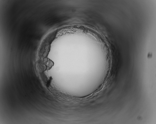 X0000103930004200810311528