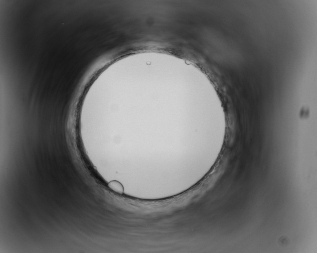 X0000103930006200810311528