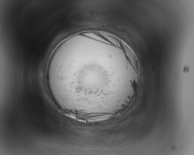 X0000103930007200810311528