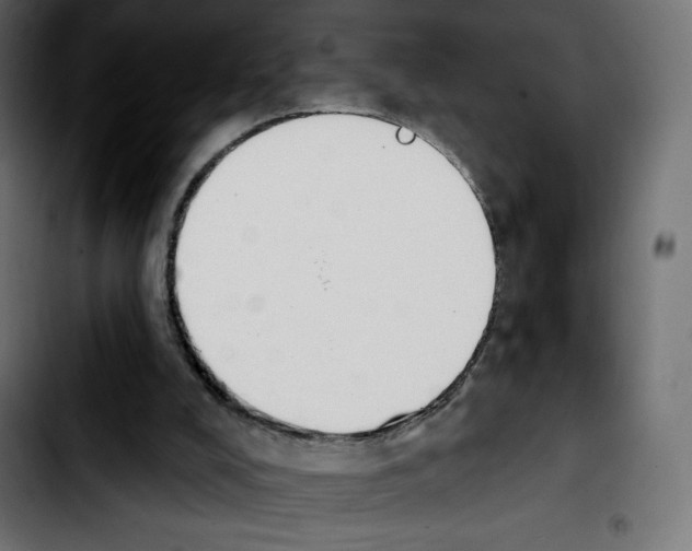 X0000103930008200810311528