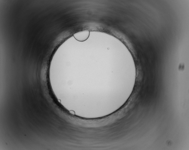 X0000103930010200810311528
