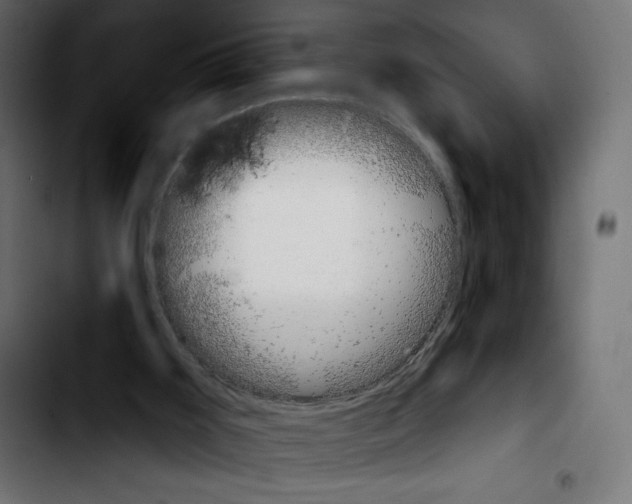 X0000103930011200810311528