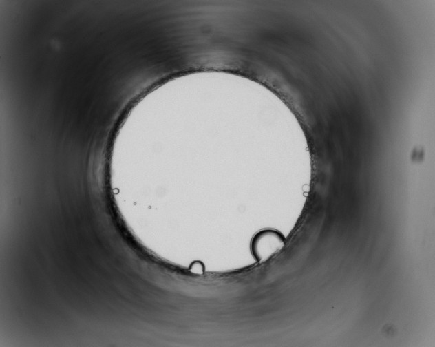 X0000103930012200810311528