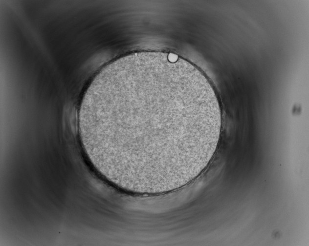 X0000103930013200810311528