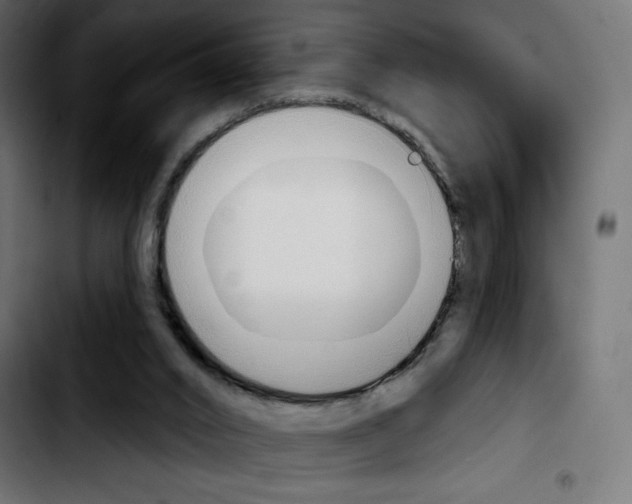 X0000103930016200810311528
