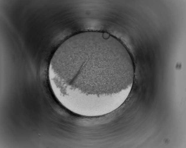 X0000103930017200810311528