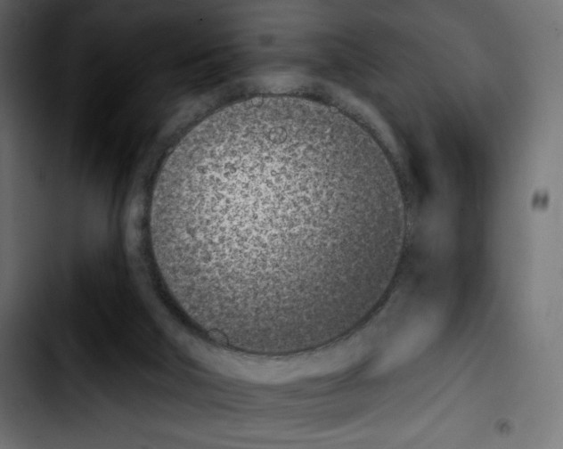 X0000103930018200810311528