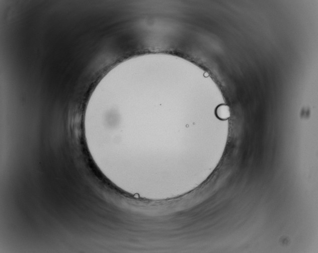 X0000103930019200810311528