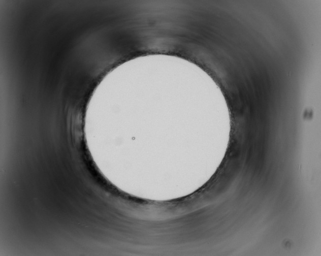X0000103930020200810311528