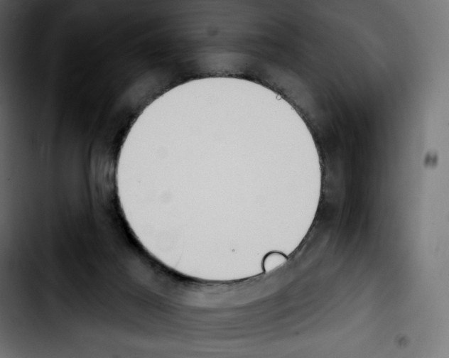 X0000103930021200810311528