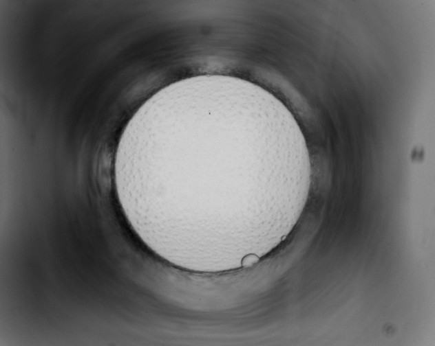 X0000103930022200810311527