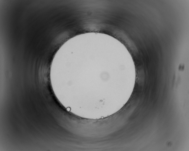 X0000103930023200810311527