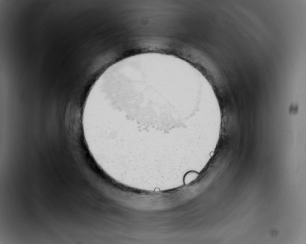 X0000103930024200810311527