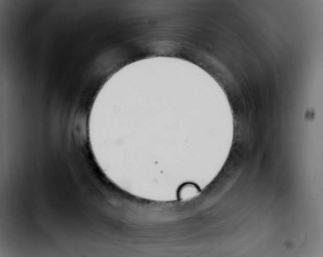 X0000103930028200810311527