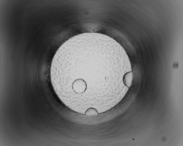 X0000103930030200810311527
