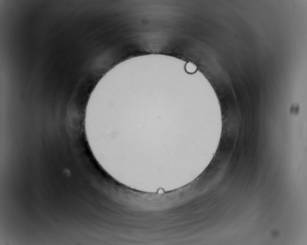 X0000103930031200810311527