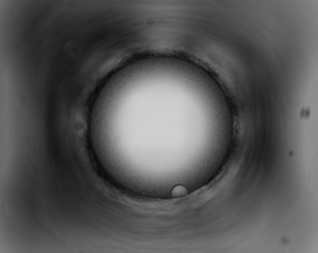 X0000103930032200810311527